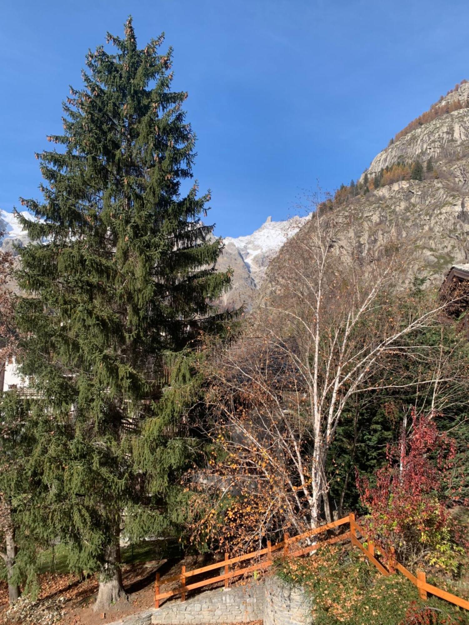 Apartamento Foyer Grand Ru Courmayeur Exterior foto